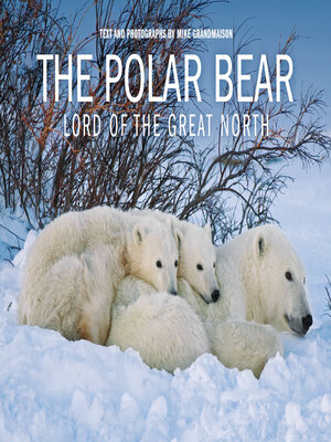 cover image of The Polar Bear